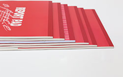 Flexo Printing Machine